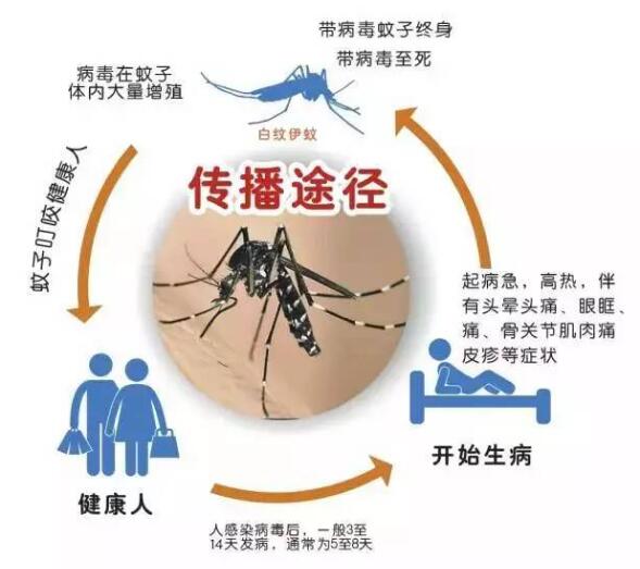 登革熱,郁康